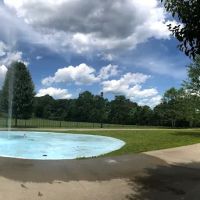 Community Field
