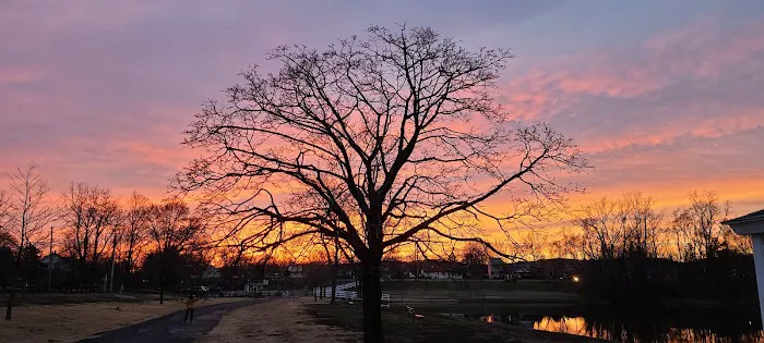 Lincoln Park Community Lake 6