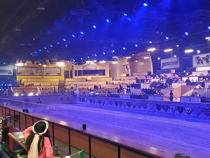 Medieval Times Dinner & Tournament 6