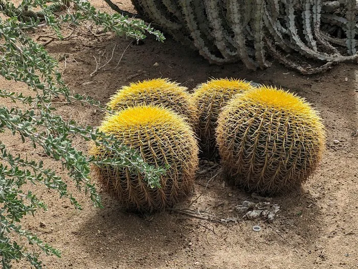 Jurupa Mountains Discovery Center 7