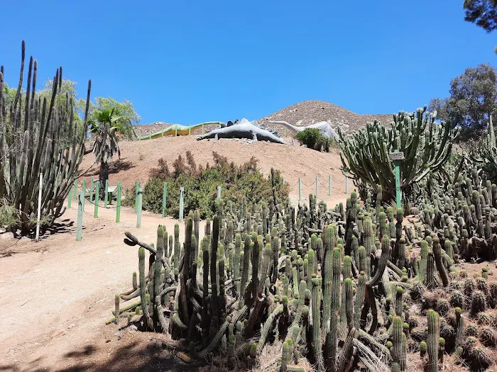 Jurupa Mountains Discovery Center 8