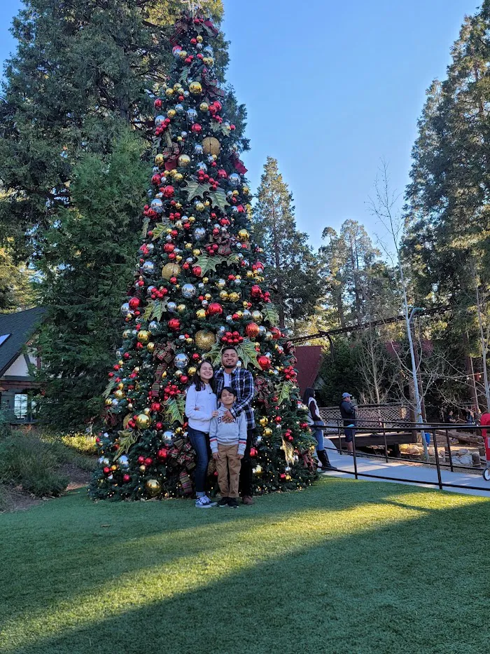 SkyPark at Santa's Village 7