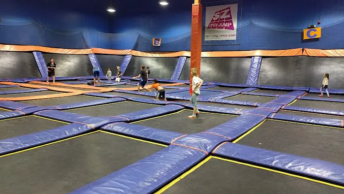 Sky Zone Trampoline Park 0