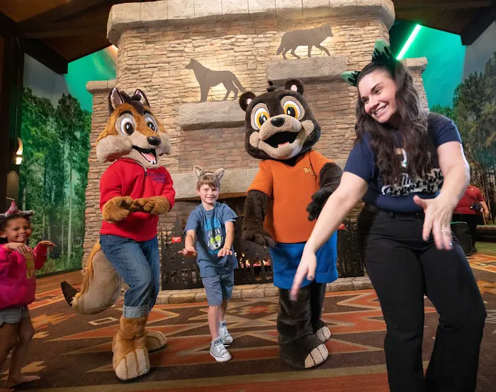 Great Wolf Lodge Resort Hotel | Illinois 8