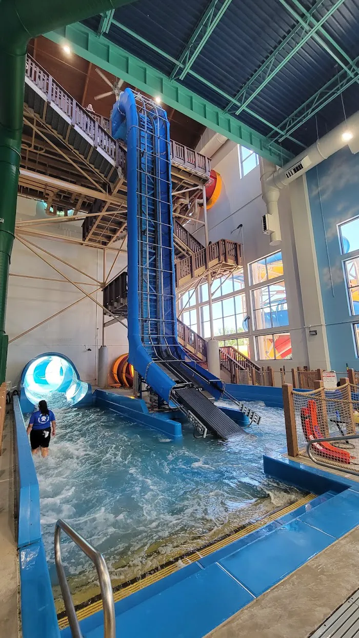 Great Wolf Lodge Resort Hotel | Illinois 9