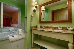 Great Wolf Lodge Resort Hotel | Illinois