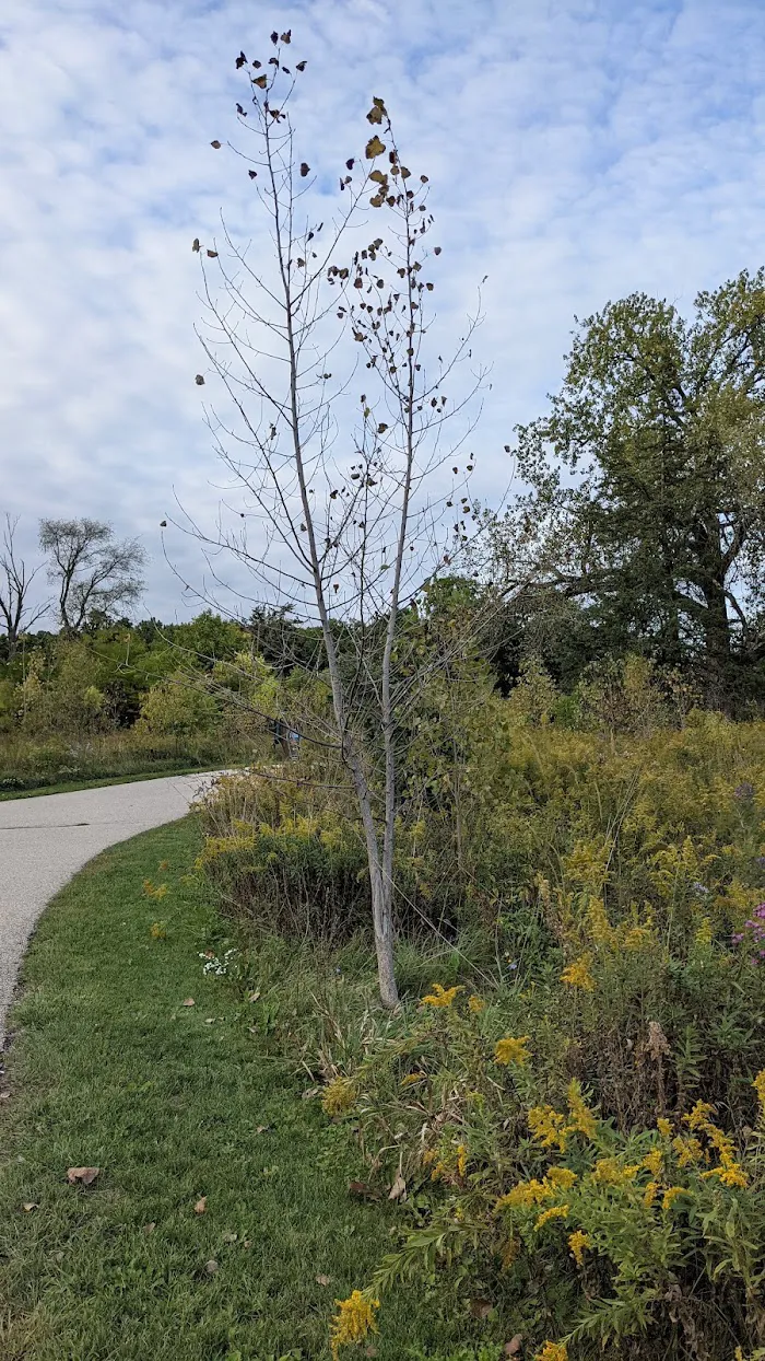 Millennium Park 9