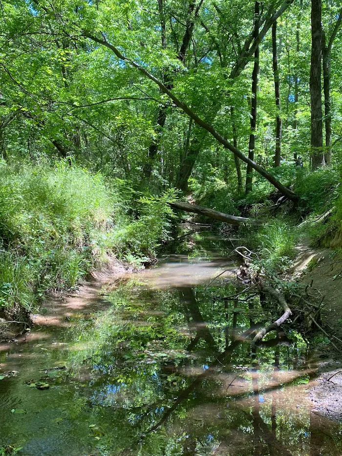 Big Rock Nature Preserve 1