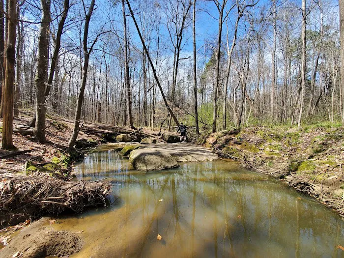 Big Rock Nature Preserve 8