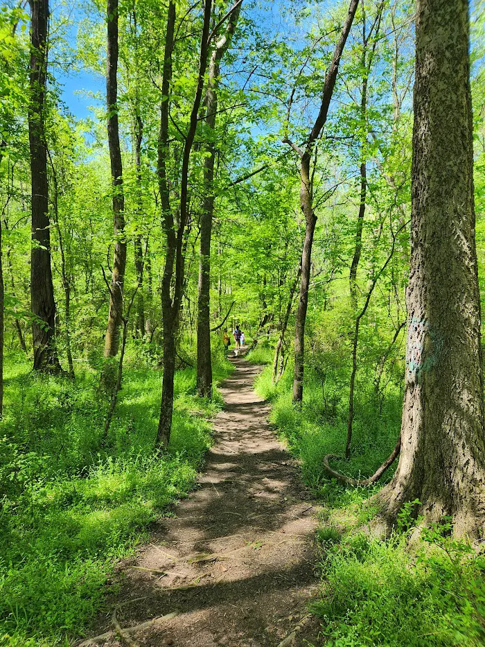 Big Rock Nature Preserve 9