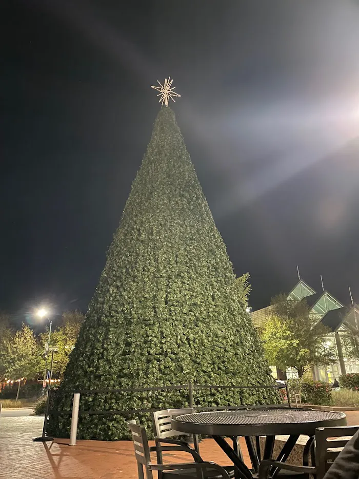 Center City Park @ Greensboro Downtown Parks, Inc. 5