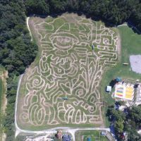 Kersey Valley Maize Adventure