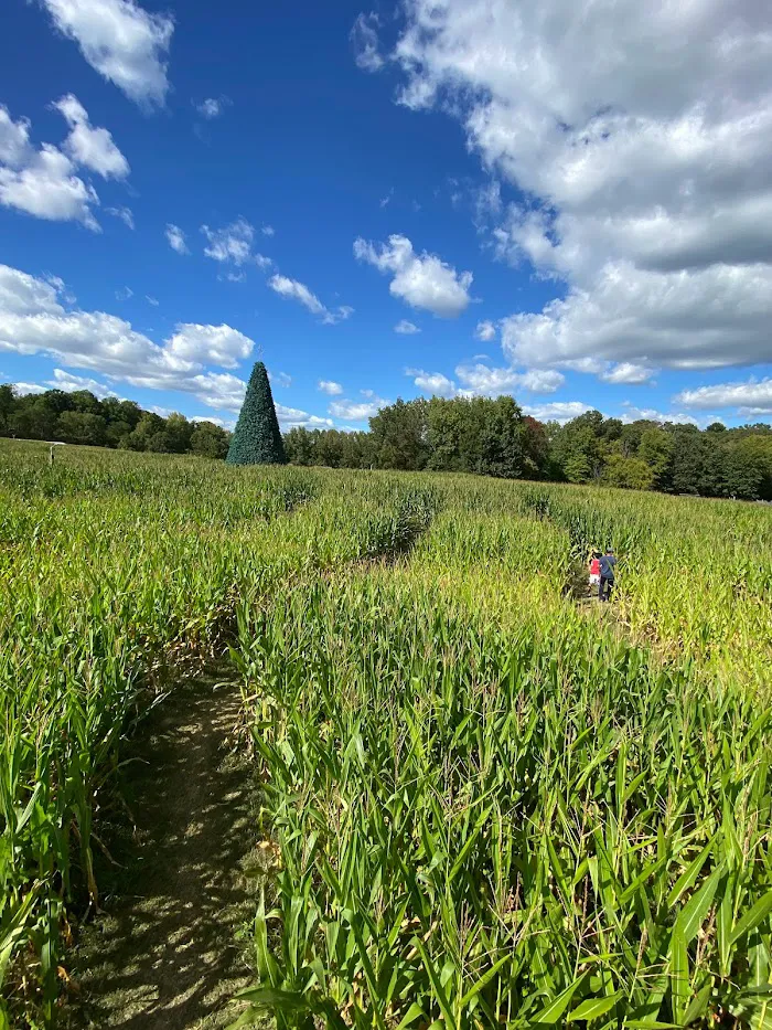 Kersey Valley Maize Adventure 4