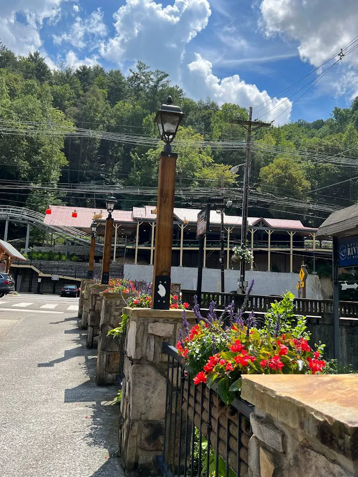 Moonshine Mountain Coaster 9