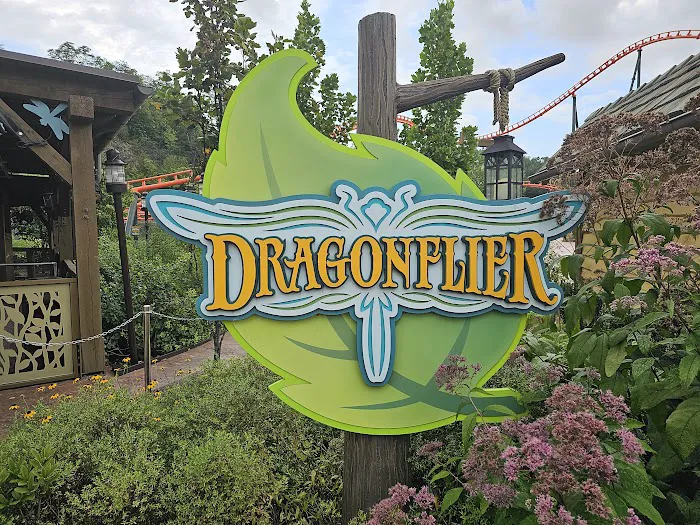 Dragonflier 9