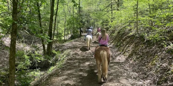 Adventure Park Ziplines