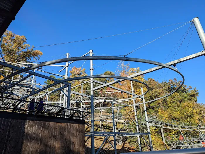 Ripley's Mountain Coaster 2