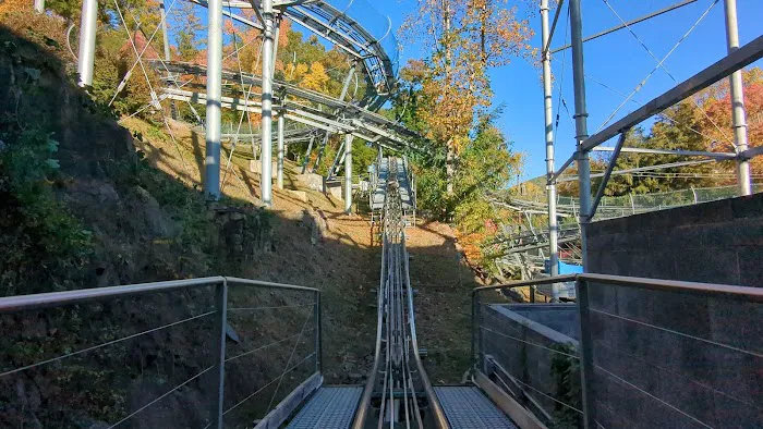 Ripley's Mountain Coaster 0