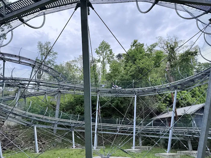 Ripley's Mountain Coaster 1