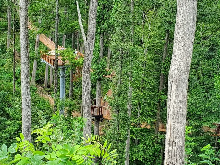 Treehouse Village 8