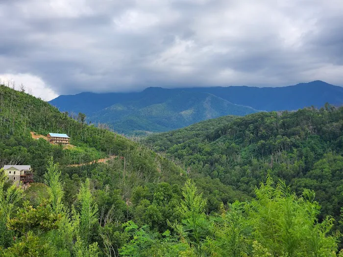 Treehouse Village 1