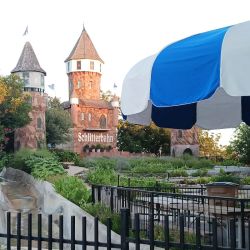 Schlitterbahn Waterpark New Braunfels ico
