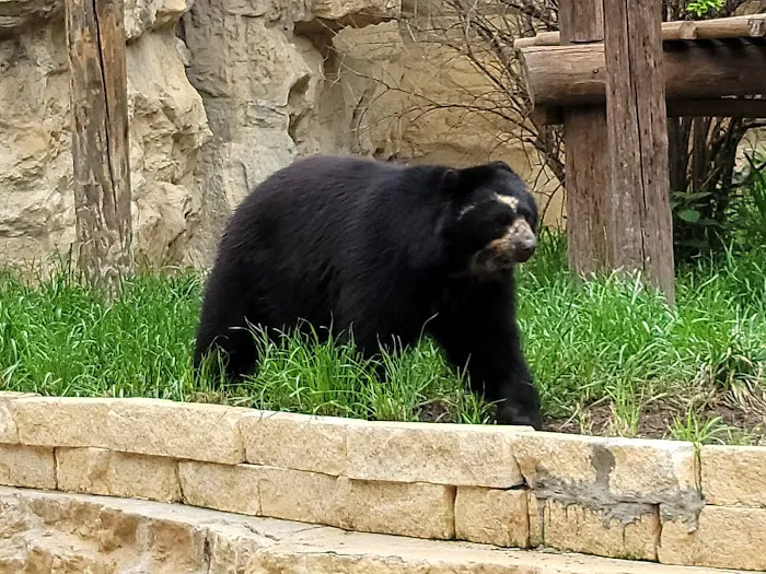 San Antonio Zoo 0