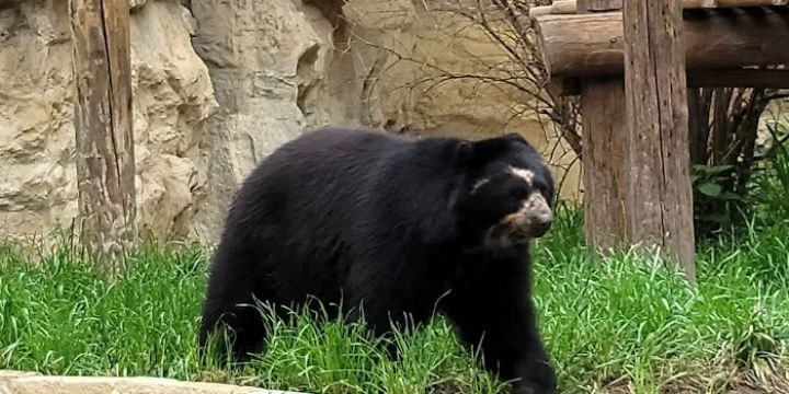 San Antonio Zoo