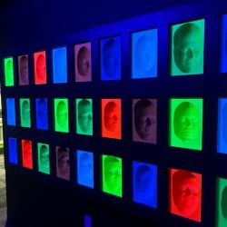 Ripley’s Illusion Lab ico