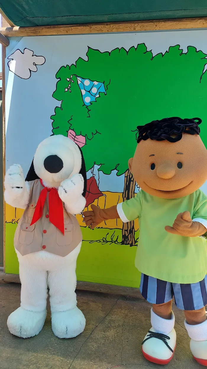 Camp Snoopy 0