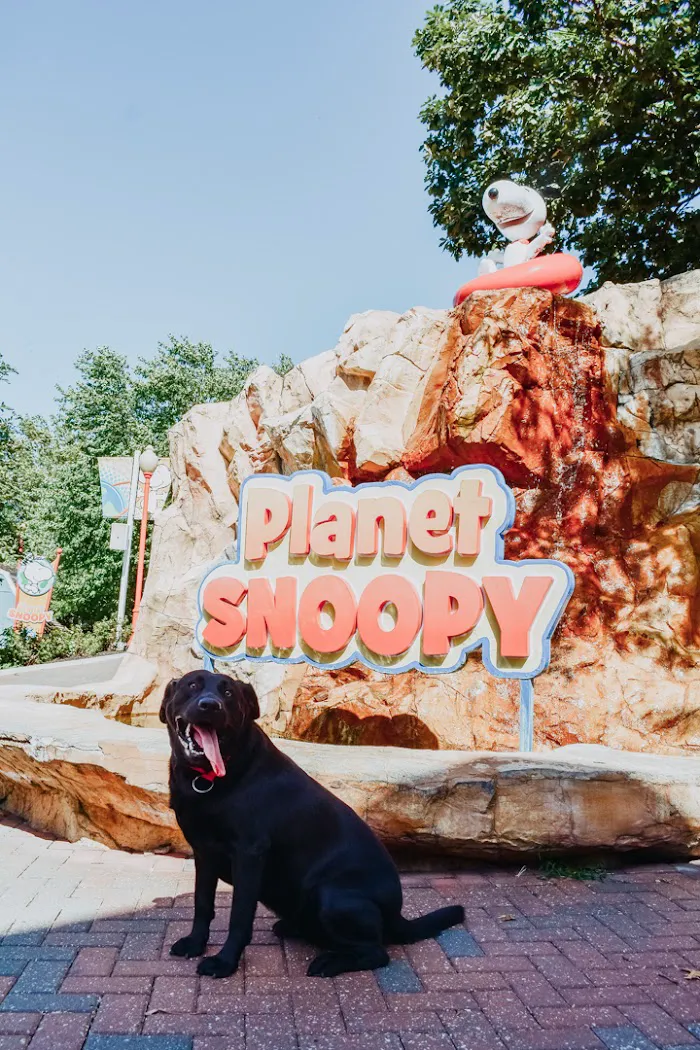 Planet Snoopy 3