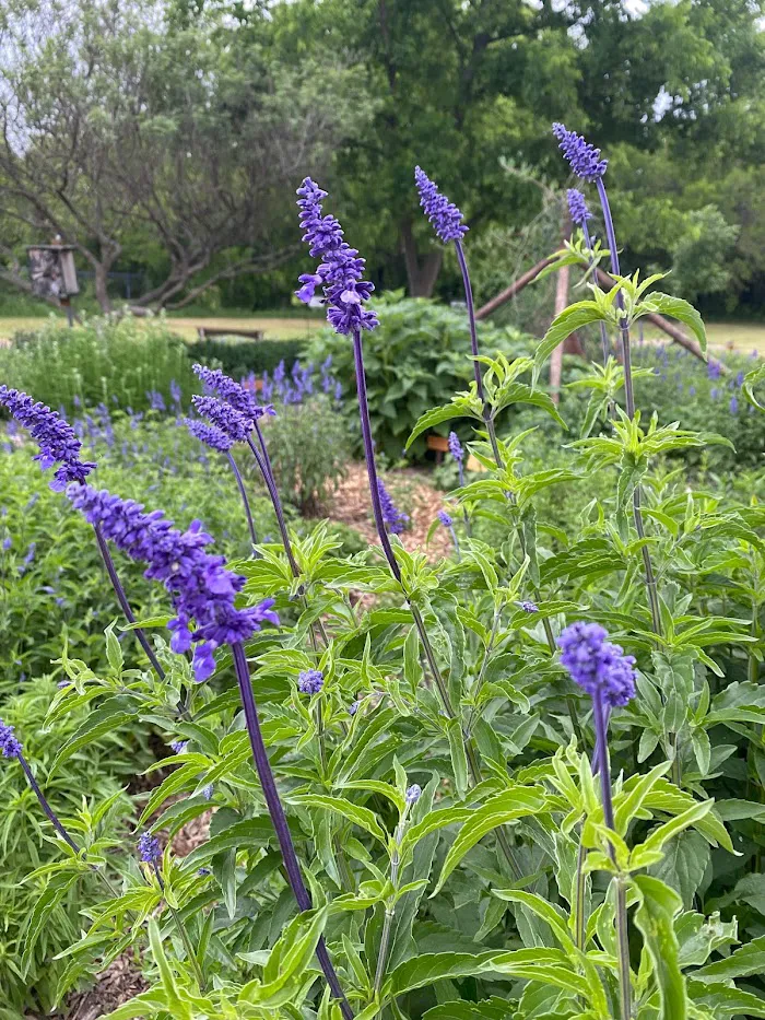 Green Acres Farm Memorial Park 2