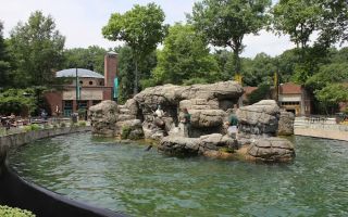 prospect park zoo flatbush avenue brooklyn ny
