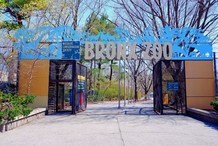 Bronx Zoo 0