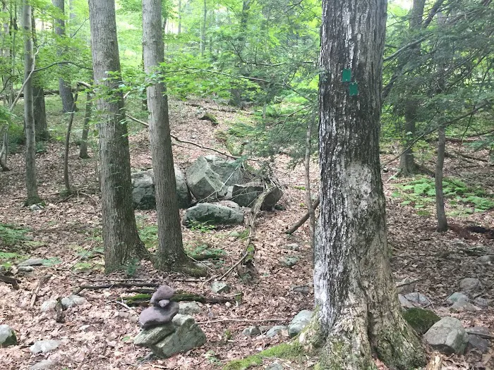 Sterling Forest State Park 0