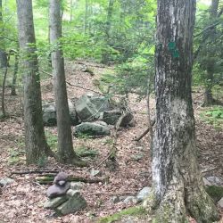 Sterling Forest State Park ico