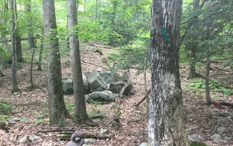 Sterling Forest State Park
