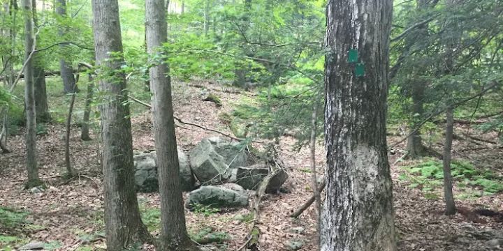 Sterling Forest State Park