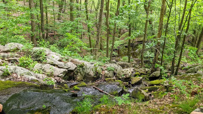 Sterling Forest State Park 7