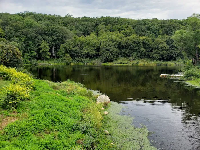 Sterling Forest State Park 4