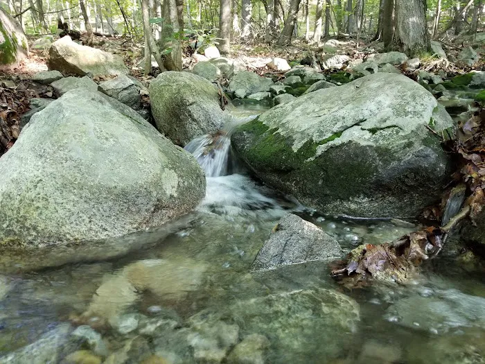 Sterling Forest State Park 5