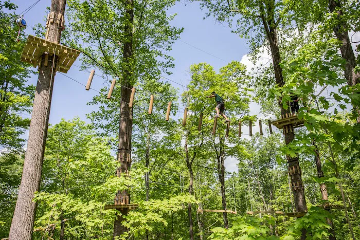 Treescape Aerial Adventure Park 1