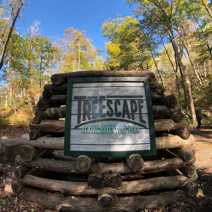 Treescape Aerial Adventure Park 3