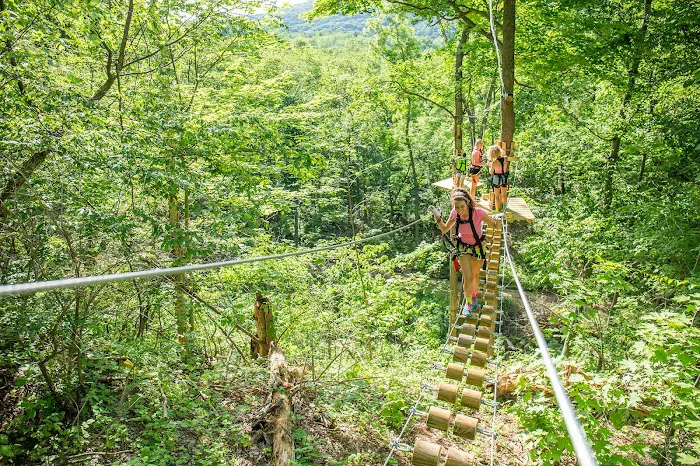 Treescape Aerial Adventure Park 2