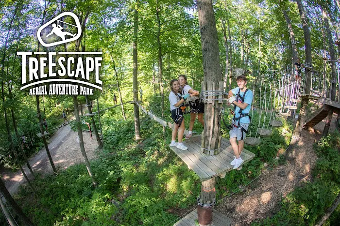 Treescape Aerial Adventure Park 6