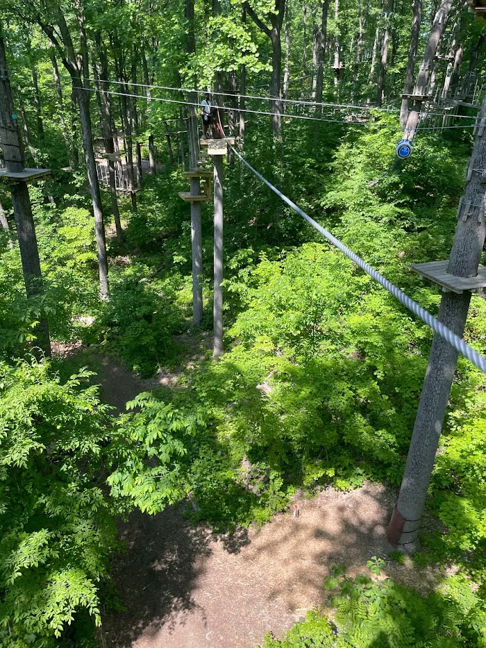 Treescape Aerial Adventure Park 8