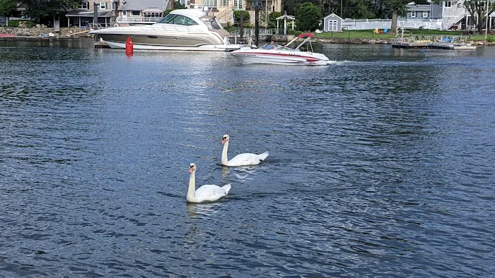 Harbor Island Park 6