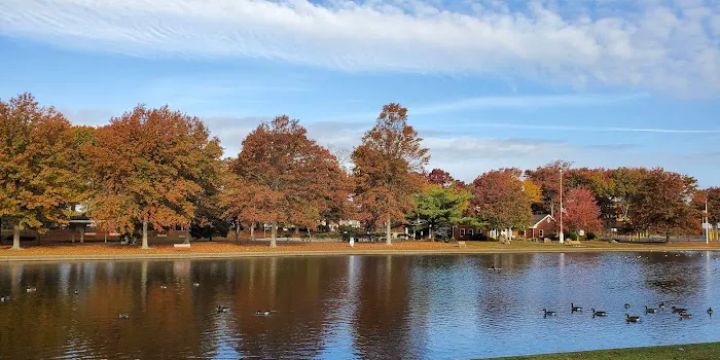 Arthur J. Hendrickson Park