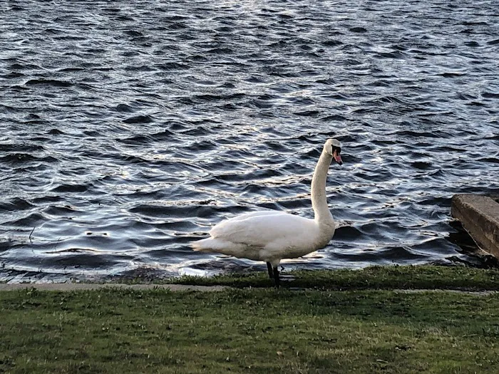 Arthur J. Hendrickson Park 5