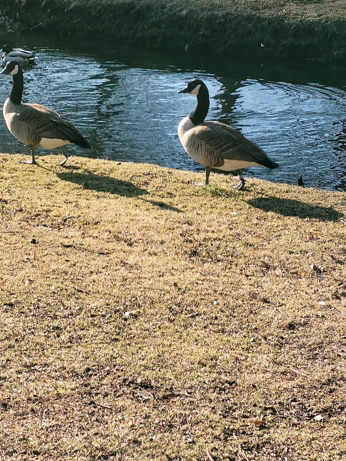 Arthur J. Hendrickson Park 7